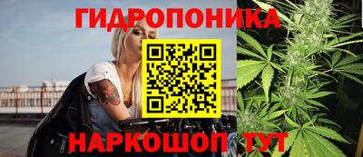 Альфа ПВП Ленинск-Кузнецкий