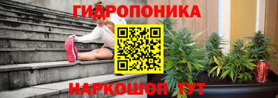 Альфа ПВП Ленинск-Кузнецкий