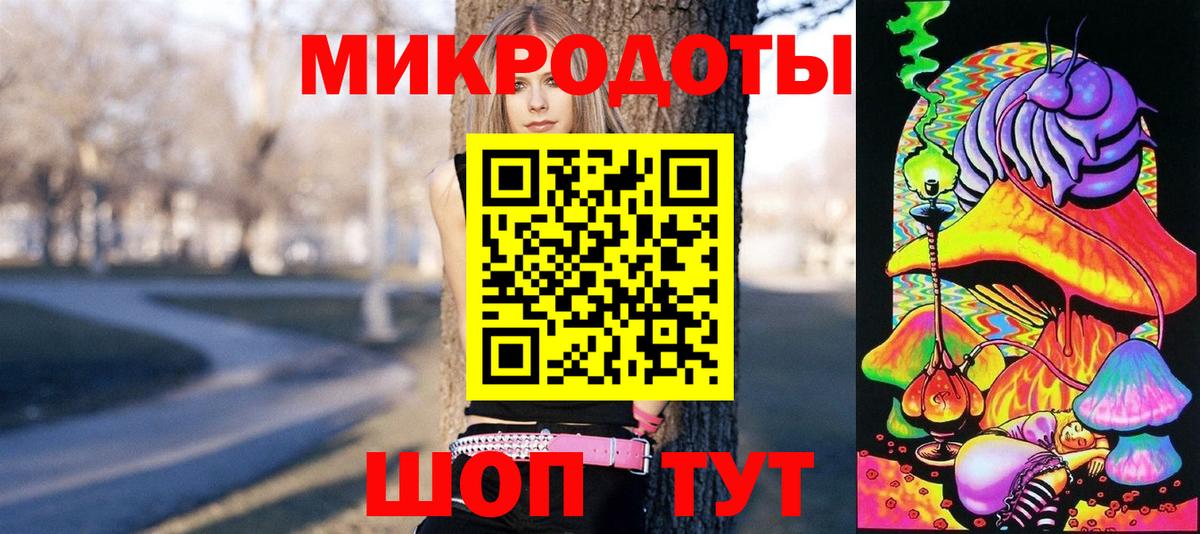 цена наркотик  Галлюциногенные грибы MAGIC MUSHROOMS  Вход с VPN  Элиста 