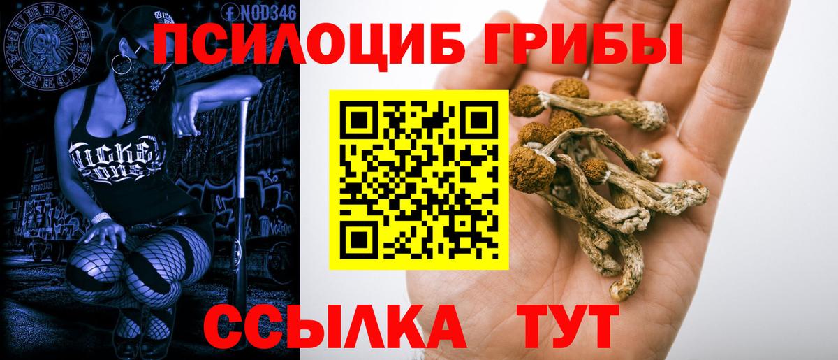Галлюциногенные грибы Magic Shrooms Элиста